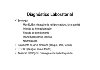 Diagnóstico Laboratorial
Sorologia:
Mac-ELISA (detecção de IgM por captura, fase aguda)
Inibição da hemaglutinação
Fixação de complemento
Imunofluorescência indireta
Neutralização
Isolamento do vírus amarílico (sangue, soro, tecido)
RT-PCR (sangue, soro e tecido)
Anátomo patológico: histologia e imuno-histoquímica
 