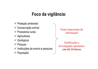 Foco da vigilância:
Proteção ambiental
Conservação animal
Produtores rurais
Agricultores
Zoológicos
Parques
Instituições de ensino e pesquisa
População
Fonte importante de
informação
Notificação e
investigação oportunas:
em até 24 horas
 