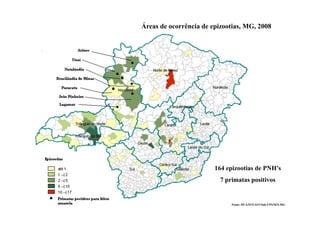 Áreas de ocorrência de epizootias, MG, 2008
Fonte: DVA/SVEAST/Sub.VPS/SES-MG
164 epizootias de PNH’s
7 primatas positivos
 