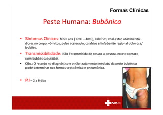 Peste Humana: Bubônica
• Sintomas Clínicos: febre alta (39ºC – 40ºC), calafrios, mal-estar, abatimento,
dores no corpo, vômitos, pulso acelerado, calafrios e linfadenite regional dolorosa/
bubões.
• Transmissibilidade: Não é transmitida de pessoa a pessoa, exceto contato
com bubões supurados
• Obs.: O retardo no diagnóstico e o não tratamento imediato da peste bubônica
pode determinar nas formas septicêmica e pneumônica.
• P.I – 2 a 6 dias
Formas Clínicas
 