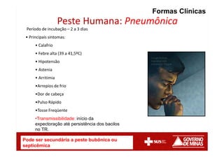 Peste Humana: Pneumônica
Período de incubação – 2 a 3 dias
• Principais sintomas:
• Calafrio
• Febre alta (39 a 41,5ºC)
• Hipotensão
• Astenia
• Arritimia
•Arrepios de frio
•Dor de cabeça
•Pulso Rápido
•Tosse Freqüente
•Transmissibilidade: início da
expectoração até persistência dos bacilos
no TR.
Formas Clínicas
Pode ser secundária a peste bubônica ou
septicêmica
 