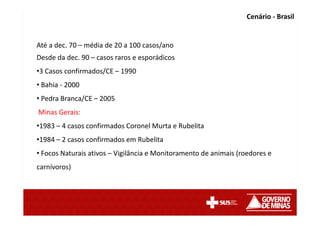 Até a dec. 70 – média de 20 a 100 casos/ano
Desde da dec. 90 – casos raros e esporádicos
•3 Casos confirmados/CE – 1990
• Bahia - 2000
• Pedra Branca/CE – 2005
Minas Gerais:
•1983 – 4 casos confirmados Coronel Murta e Rubelita
•1984 – 2 casos confirmados em Rubelita
• Focos Naturais ativos – Vigilância e Monitoramento de animais (roedores e
carnívoros)
Cenário - Brasil
 