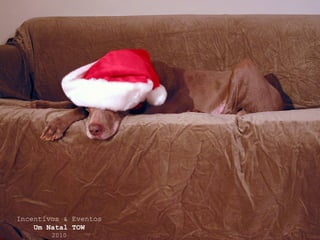 Telf: + 351 21 482 45 12
info@eventstow.com
Eventos & Incentivos de Natal TOW
www.eventstow.com
Incentivos & Eventos
Um Natal TOW
2010
 