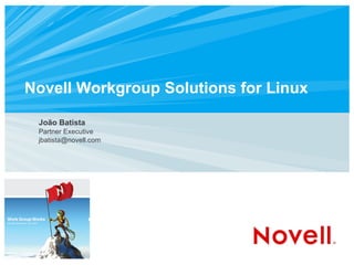 Novell Workgroup Solutions for Linux João Batista Partner Executive [email_address] 