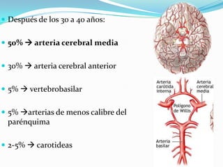  Después de los 30 a 40 años:


 50%  arteria cerebral media


 30%  arteria cerebral anterior


 5%  vertebrobasilar


 5% arterias de menos calibre del
 parénquima

 2-5%  carotideas
 