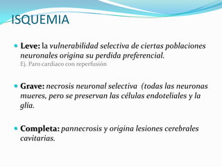 ISQUEMIA
 Leve: la vulnerabilidad selectiva de ciertas poblaciones
  neuronales origina su perdida preferencial.
  Ej. Paro cardiaco con reperfusión


 Grave: necrosis neuronal selectiva (todas las neuronas
  mueres, pero se preservan las células endoteliales y la
  glía.

 Completa: pannecrosis y origina lesiones cerebrales
  cavitarias.
 