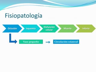 Fisiopatología
                           Disfunción
 Oclusión     Isquemia                      Muerte          Infarto
                             celular



            Vaso pequeño            Circulación colateral
 