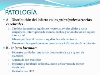 PATOLOGÍA
 A.- Distribución del infarto en las principales arterias
 cerebrales:
   o Cambios isquémicos agudos en neuronas, células gliales y vasos
     sanguíneos. Interrupción de axones, mielina y acumulación de líquido
     intersticial.
   o Edema que llega al max en 4 o 5 días después del inicio.
   o Muertes en la segunda semana por edema e inflamación  herniación

 B.- Infarto lacunar:
   o Pequeñas cavidades que varían de tamaño de 0.5 a 15 mm de
     diámetro.
   o A menudo son múltiples
   o Pequeños y resultado de lipohialinosis de los vasos de menor
     resistencia
   o Pacientes con HTA
 