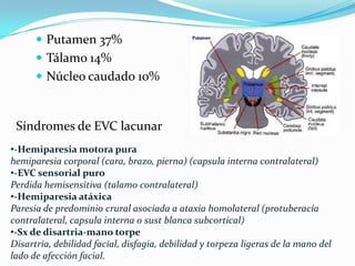  Putamen 37%
       Tálamo 14%
       Núcleo caudado 10%



 Síndromes de EVC lacunar
•-Hemiparesia motora pura
hemiparesia corporal (cara, brazo, pierna) (capsula interna contralateral)
•-EVC sensorial puro
Perdida hemisensitiva (talamo contralateral)
•-Hemiparesia atáxica
Paresia de predominio crural asociada a ataxia homolateral (protuberacía
contralateral, capsula interna o sust blanca subcortical)
•-Sx de disartria-mano torpe
Disartria, debilidad facial, disfagia, debilidad y torpeza ligeras de la mano del
lado de afección facial.
 