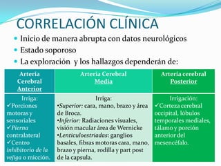 CORRELACIÓN CLÍNICA
   Inicio de manera abrupta con datos neurológicos
   Estado soporoso
   La exploración y los hallazgos dependerán de:
     Arteria                Arteria Cerebral                Arteria cerebral
    Cerebral                     Media                         Posterior
    Anterior
      Irriga:                       Irriga:                     Irrigación:
Porciones          •Superior: cara, mano, brazo y área   Corteza cerebral
motoras y           de Broca.                             occipital, lóbulos
sensoriales         •Inferior: Radiaciones visuales,      temporales mediales,
Pierna             visión macular área de Wernicke       tálamo y porción
contralateral       •Lenticuloestriadas: ganglios         anterior del
Centro             basales, fibras motoras cara, mano,   mesencéfalo.
inhibitorio de la   brazo y pierna, rodilla y part post
vejiga o micción.   de la capsula.
 