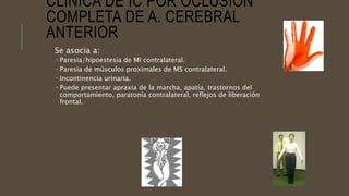 CLÍNICA DE IC POR OCLUSIÓN
COMPLETA DE A. CEREBRAL
ANTERIOR
Se asocia a:
 Paresia/hipoestesia de MI contralateral.
 Paresia de músculos proximales de MS contralateral.
 Incontinencia urinaria.
 Puede presentar apraxia de la marcha, apatía, trastornos del
comportamiento, paratonía contralateral, reflejos de liberación
frontal.
 