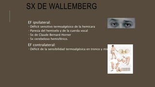 SX DE WALLEMBERG
EF ipsilateral:
 Déficit sensitivo termoalgésico de la hemicara
 Paresia del hemivelo y de la cuerda vocal
 Sx de Claude Bernard Horner
 Sx cerebeloso hemisférico.
EF contralateral:
 Déficit de la sensibilidad termoalgésica en tronco y miembros.
 