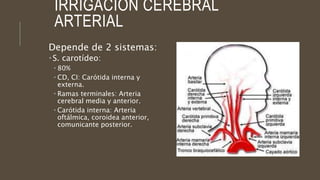 IRRIGACIÓN CEREBRAL
ARTERIAL
Depende de 2 sistemas:
 S. carotídeo:
 80%
 CD, CI: Carótida interna y
externa.
 Ramas terminales: Arteria
cerebral media y anterior.
 Carótida interna: Arteria
oftálmica, coroidea anterior,
comunicante posterior.
 