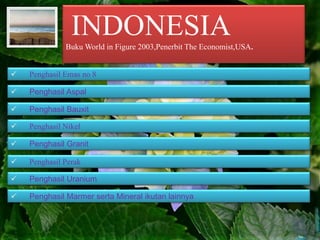 INDONESIABuku World in Figure 2003,Penerbit The Economist,USA.
 Penghasil Emas no 8
 Penghasil Aspal
 Penghasil Bauxit
 Penghasil Nikel
 Penghasil Granit
 Penghasil Perak
 Penghasil Uranium
 Penghasil Marmer serta Mineral ikutan lainnya
 