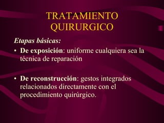 TRATAMIENTO QUIRURGICO Etapas básicas: De exposición : uniforme cualquiera sea la técnica de reparación De reconstrucción : gestos integrados relacionados directamente con el procedimiento quirúrgico.  