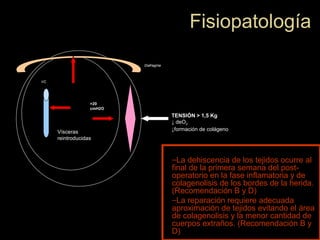 Vísceras
reintroducidas
TENSIÓN > 1,5 Kg
↓ deO2
↓formación de colágeno
VC
Diafragma
>20
cmH2O
Fisiopatología
–La dehiscencia de los tejidos ocurre al
final de la primera semana del post-
operatorio en la fase inflamatoria y de
colagenolisis de los bordes de la herida.
(Recomendación B y D)
–La reparación requiere adecuada
aproximación de tejidos evitando el área
de colagenolisis y la menor cantidad de
cuerpos extraños. (Recomendación B y
D)
 