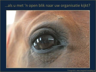 Fotografie: www.imaginefriendship.nl … als u met ‘n open blik naar uw organisatie kijkt?  