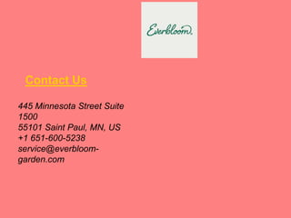 Contact Us
445 Minnesota Street Suite
1500
55101 Saint Paul, MN, US
+1 651-600-5238
service@everbloom-
garden.com
 
