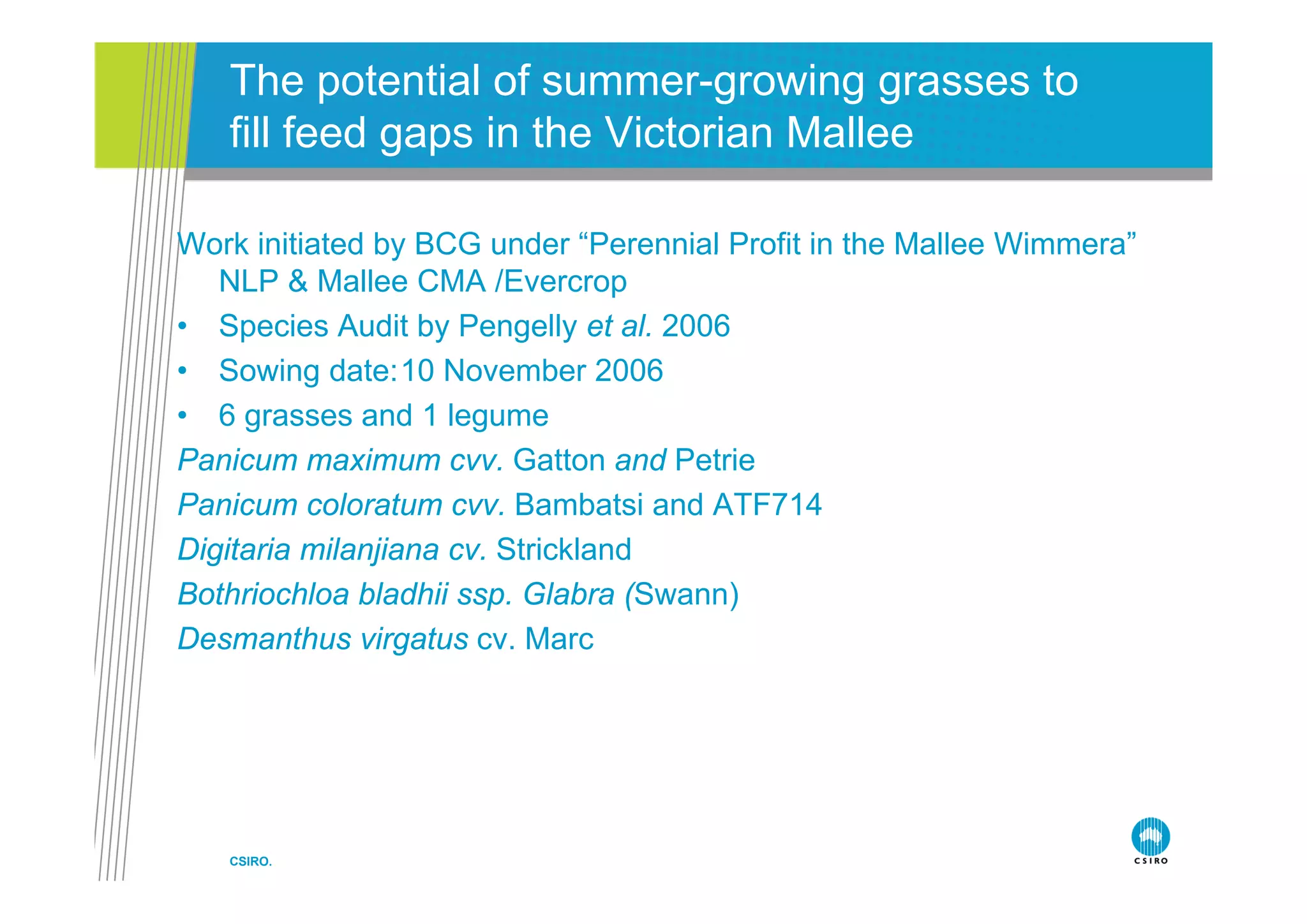The potential of summer-growing grasses to
   fill feed gaps in t e Victorian Mallee
         eed         the cto a      a ee

Work initiated by BCG under “Perennial Profit in the Mallee Wimmera”
                                Perennial                   Wimmera
   NLP & Mallee CMA /Evercrop
• Species Audit by Pengelly et al. 2006
• Sowing date:10 November 2006
• 6 grasses and 1 legume
Panicum maximum cvv. Gatton and Petrie
                     cvv
Panicum coloratum cvv. Bambatsi and ATF714
Digitaria milanjiana cv. Strickland
Bothriochloa bladhii ssp. Glabra (Swann)
Desmanthus virgatus cv. Marc




   CSIRO.
 
