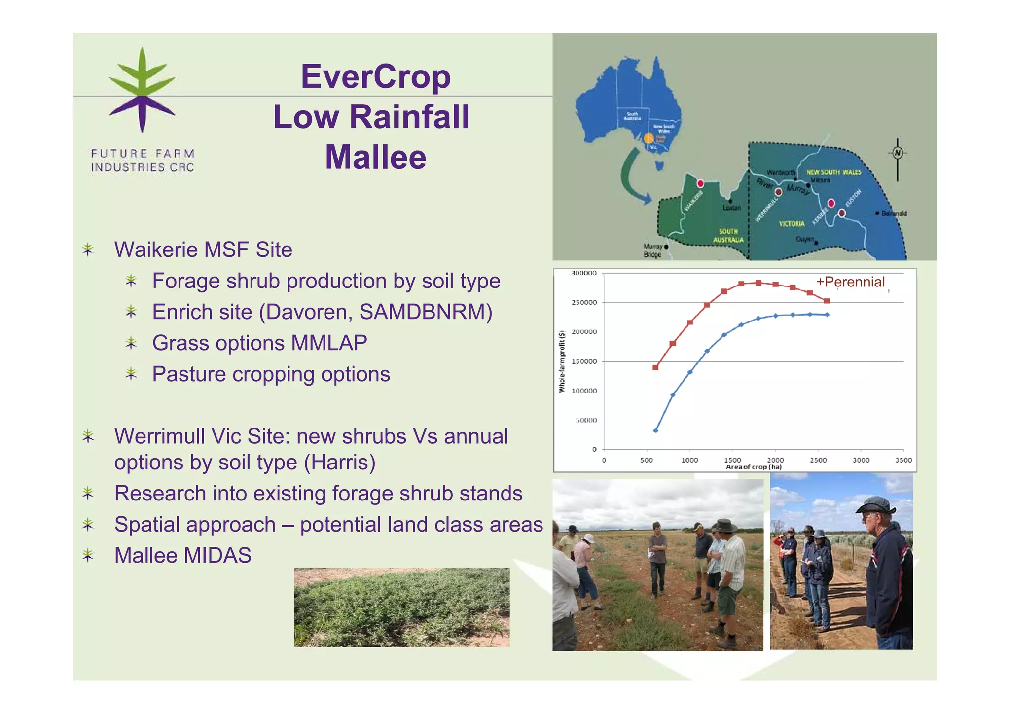 EverCrop
                Low Rainfall
                  Mallee

Waikerie MSF Site
   Forage shrub production b soil t
   F        h b     d ti by il type            +Perennial

   Enrich site (Davoren, SAMDBNRM)
   Grass options MMLAP
   Pasture cropping options

Werrimull Vic Site: new shrubs Vs annual
options by soil type (Harris)
Research into existing forage shrub stands
Spatial
S ti l approach – potential land class areas
                 h     t ti l l d l
Mallee MIDAS


                                                    8
 