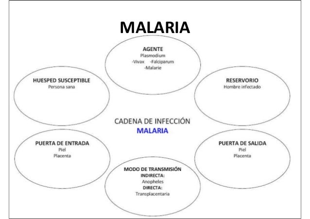 Cadena Epidemiologica Del Chagas Pdf
