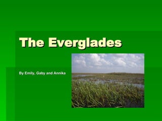 The Everglades By Emily, Gaby and Annika 