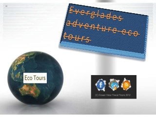 Everglades adventure eco tours