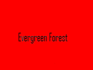 Evergreen forest | PPT
