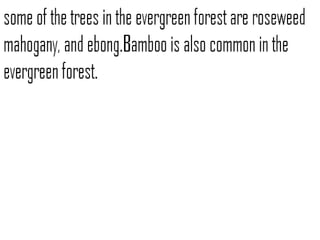 Evergreen forest | PPT