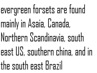 Evergreen forest | PPT