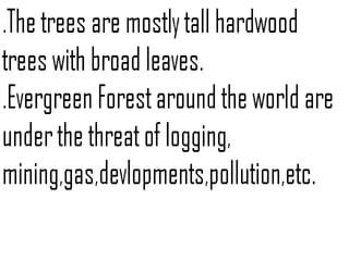 Evergreen forest | PPT