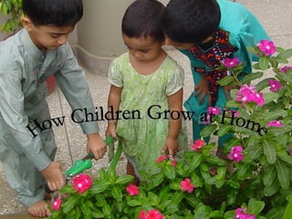 How Children Grow at Home 