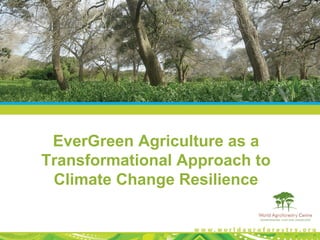EverGreen Agriculture as a
Transformational Approach to
Climate Change Resilience

 
