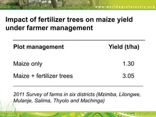 Evergreen agriculture