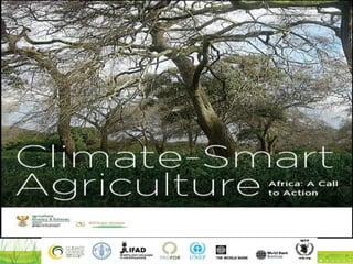 Evergreen agriculture