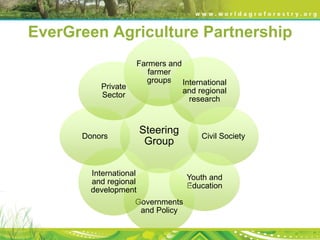 Evergreen agriculture