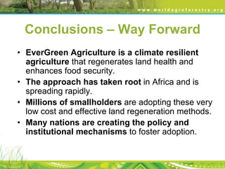 Evergreen agriculture