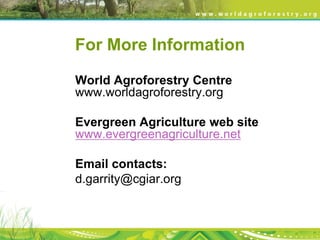 Evergreen agriculture