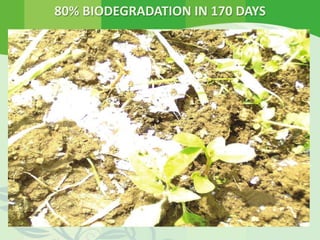 80% BIODEGRADATION IN 170 DAYS
 