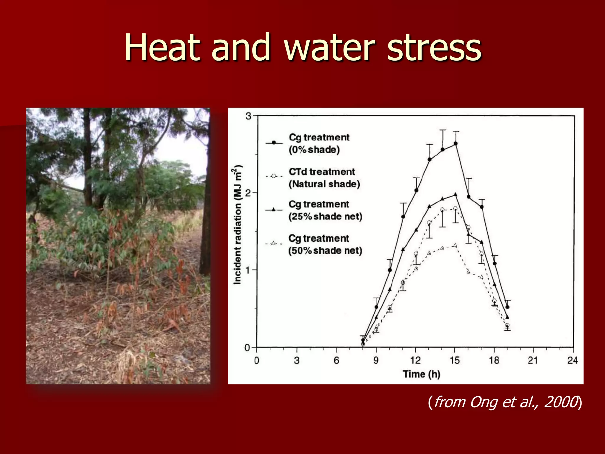Heat and water stress
(from Ong et al., 2000)
 