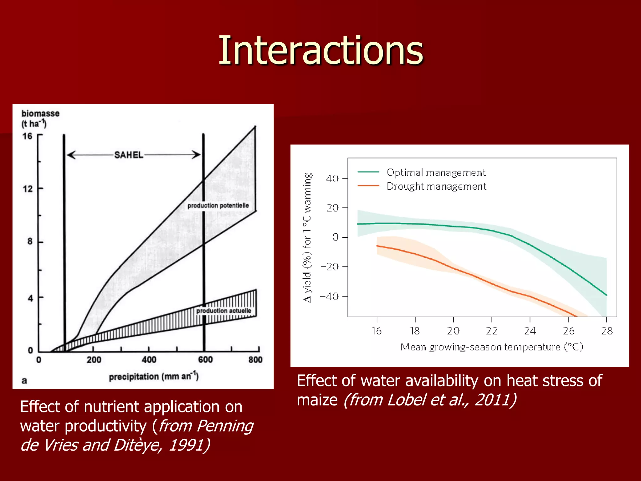 Interactions
Effect of water availability on heat stress of
maize (from Lobel et al., 2011)Effect of nutrient application on
water productivity (from Penning
de Vries and Ditèye, 1991)
 