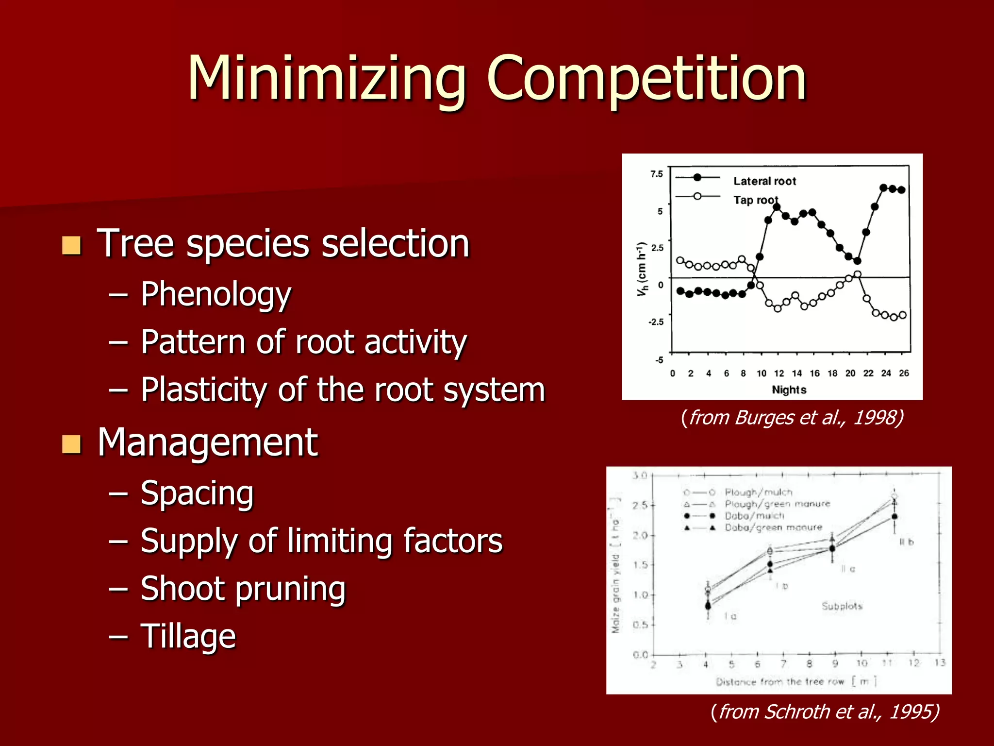 Minimizing Competition
 Tree species selection
– Phenology
– Pattern of root activity
– Plasticity of the root system
 Management
– Spacing
– Supply of limiting factors
– Shoot pruning
– Tillage
(from Burges et al., 1998)
(from Schroth et al., 1995)
 