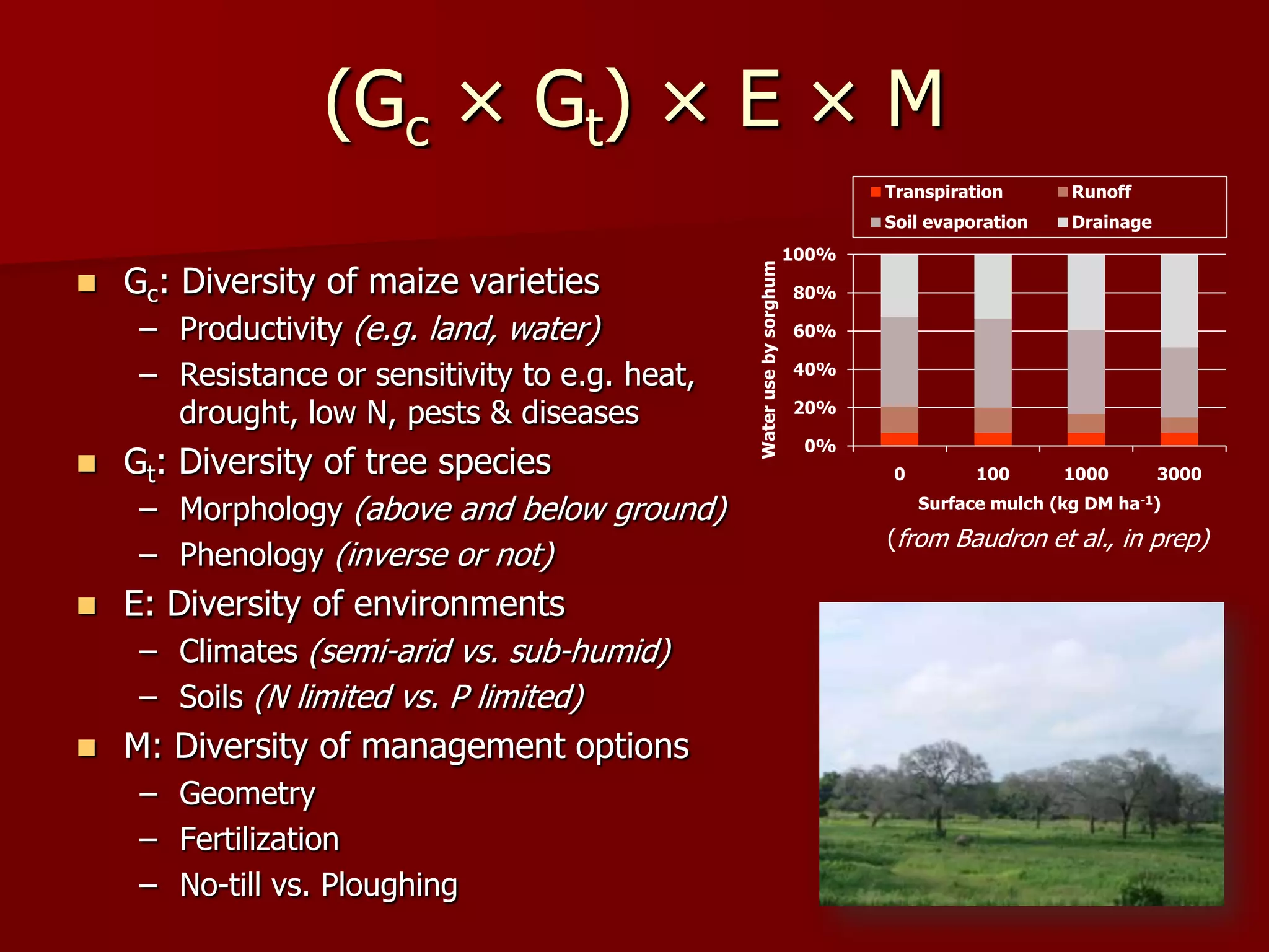 (Gc × Gt) × E × M
 Gc: Diversity of maize varieties
– Productivity (e.g. land, water)
– Resistance or sensitivity to e.g. heat,
drought, low N, pests & diseases
 Gt: Diversity of tree species
– Morphology (above and below ground)
– Phenology (inverse or not)
 E: Diversity of environments
– Climates (semi-arid vs. sub-humid)
– Soils (N limited vs. P limited)
 M: Diversity of management options
– Geometry
– Fertilization
– No-till vs. Ploughing
0%
20%
40%
60%
80%
100%
0 100 1000 3000
Waterusebysorghum
Surface mulch (kg DM ha-1)
Transpiration Runoff
Soil evaporation Drainage
(from Baudron et al., in prep)
 