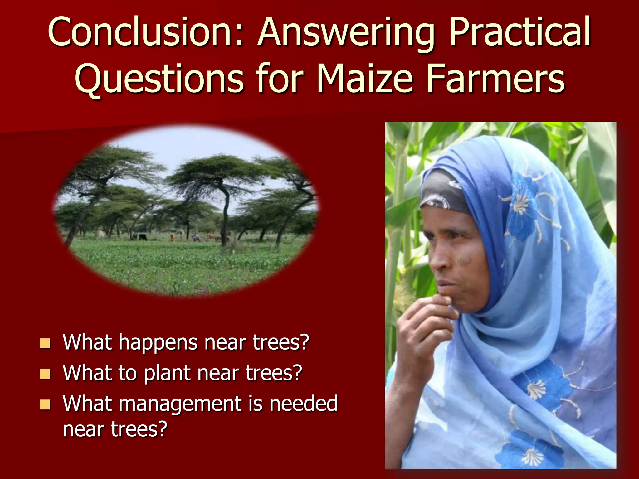 Conclusion: Answering Practical
Questions for Maize Farmers
 What happens near trees?
 What to plant near trees?
 What management is needed
near trees?
 