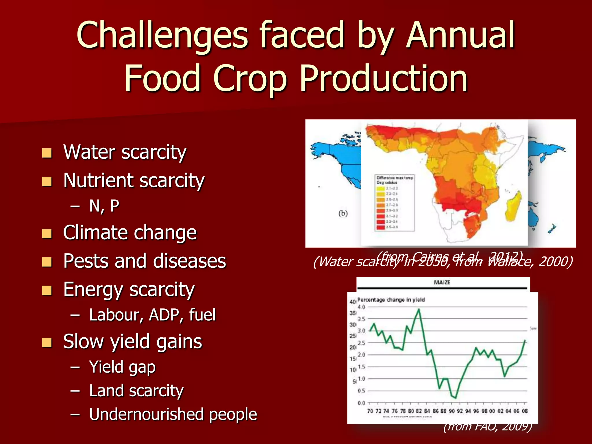 Challenges faced by Annual
Food Crop Production
 Water scarcity
 Nutrient scarcity
– N, P
 Climate change
 Pests and diseases
 Energy scarcity
– Labour, ADP, fuel
 Slow yield gains
– Yield gap
– Land scarcity
– Undernourished people
(Water scarcity in 2050, from Wallace, 2000)(from Cairns et al., 2012)
(from FAO, 2009)
 
