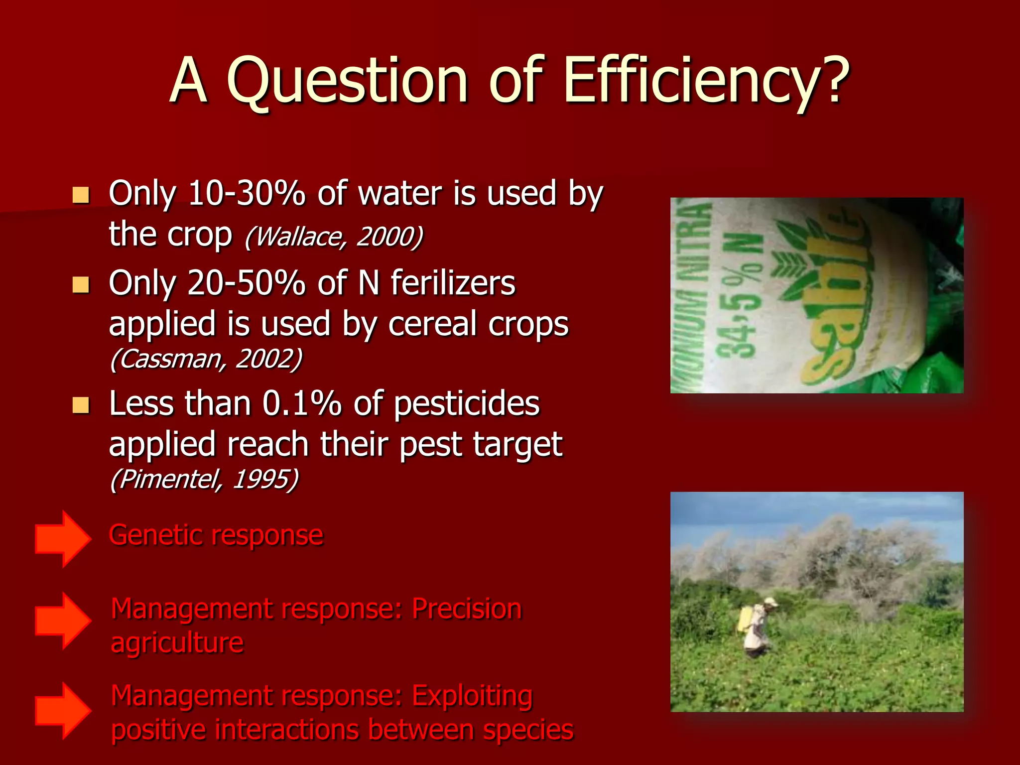 A Question of Efficiency?
 Only 10-30% of water is used by
the crop (Wallace, 2000)
 Only 20-50% of N ferilizers
applied is used by cereal crops
(Cassman, 2002)
 Less than 0.1% of pesticides
applied reach their pest target
(Pimentel, 1995)
Management response: Precision
agriculture
Genetic response
Management response: Exploiting
positive interactions between species
 