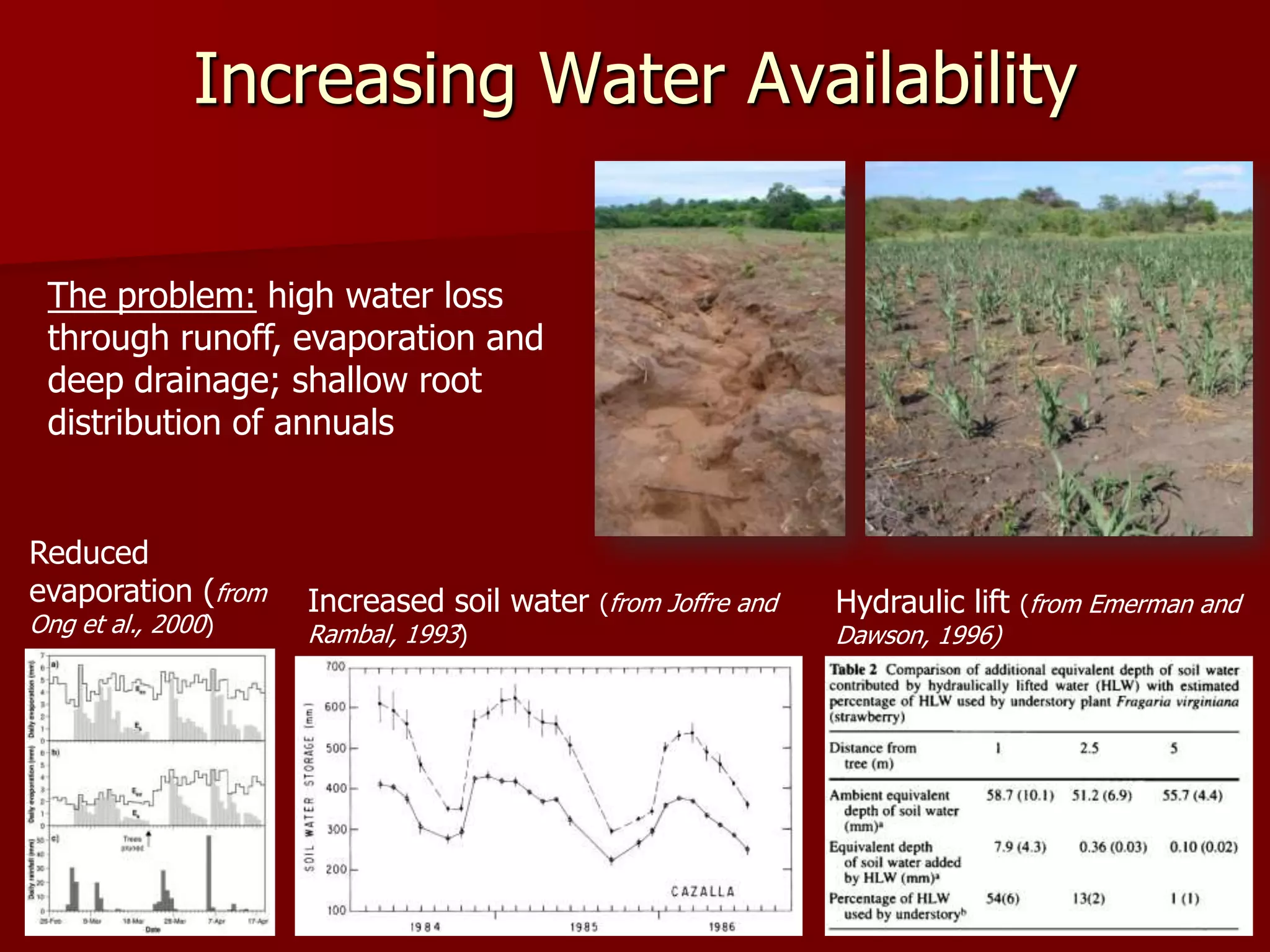 Increasing Water Availability
The problem: high water loss
through runoff, evaporation and
deep drainage; shallow root
distribution of annuals
Reduced
evaporation (from
Ong et al., 2000)
Increased soil water (from Joffre and
Rambal, 1993)
Hydraulic lift (from Emerman and
Dawson, 1996)
 