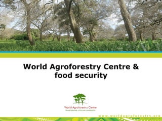 World Agroforestry Centre &
       food security
 