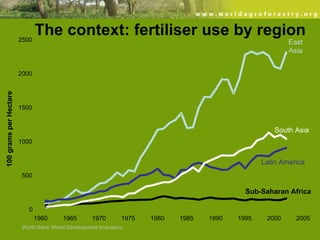 Evergreen Agriculture: feeding Africa's poorest, sustainably