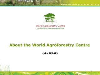 Evergreen Agriculture: feeding Africa's poorest, sustainably